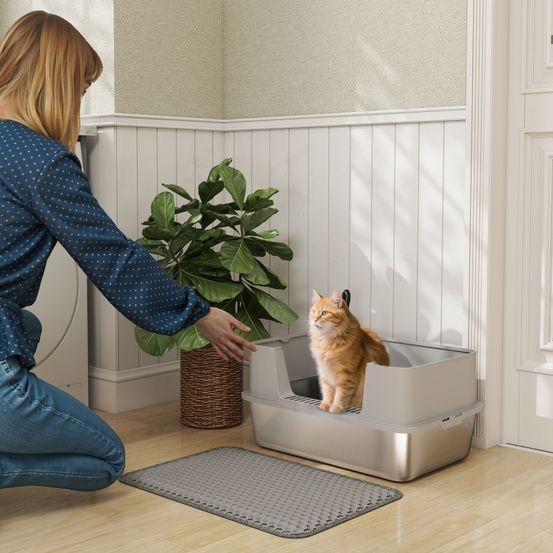 Bac à litière acier inox pour chat jusqu'à 7kg rebords hauts anti-projection 60x40x29cm gris