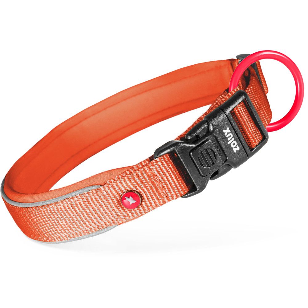 Collier premium pour chien en nylon recyclé, doublure néoprène, réglable 30