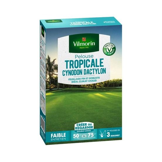 Gazon cynodon dactylon 500 gr