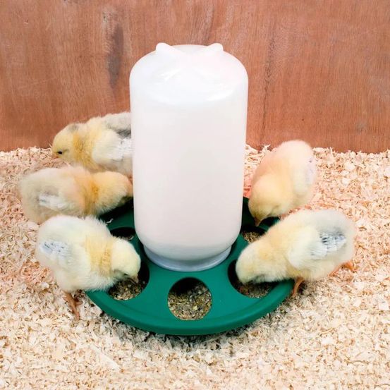 Mangeoire poussins et cailles capacité 1kg