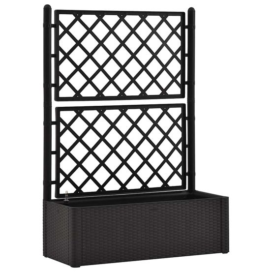 Lit surélevé de jardin treillis système d'arrosage anthracite