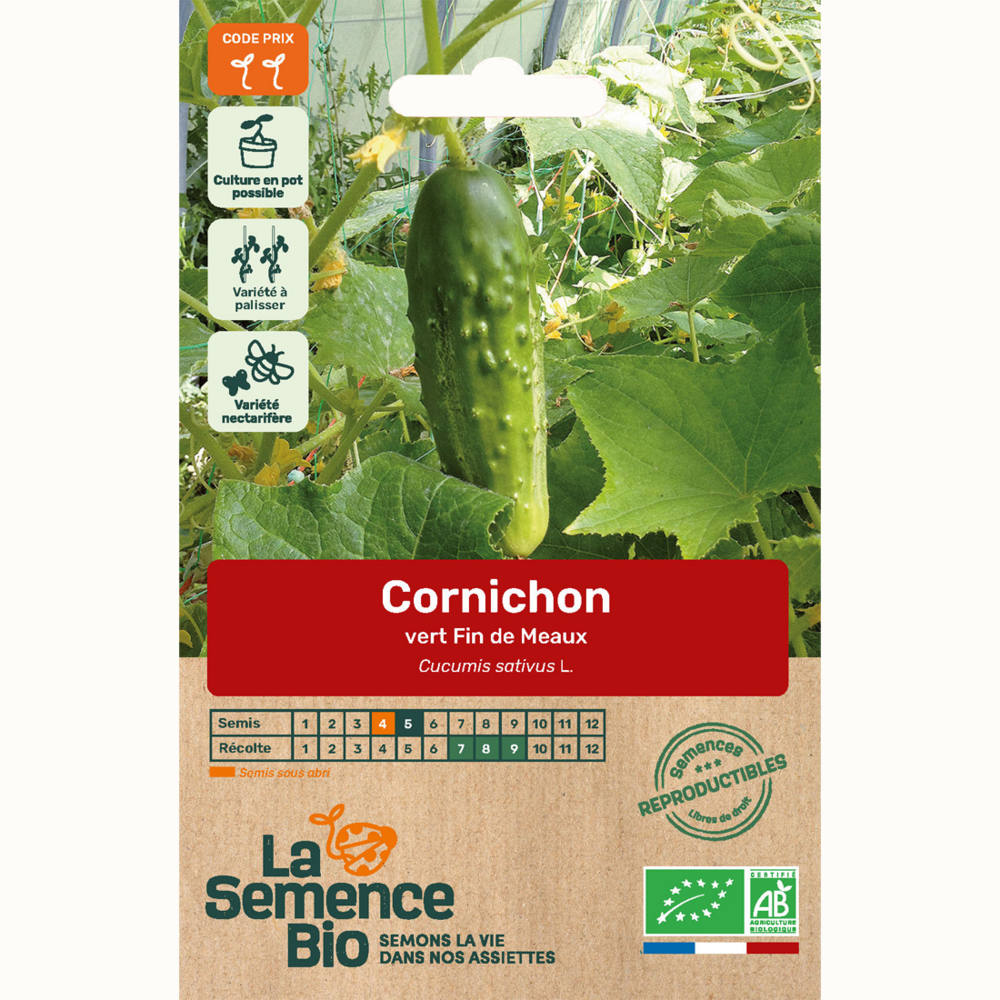 Cornichon vert fin de meaux - graines bio