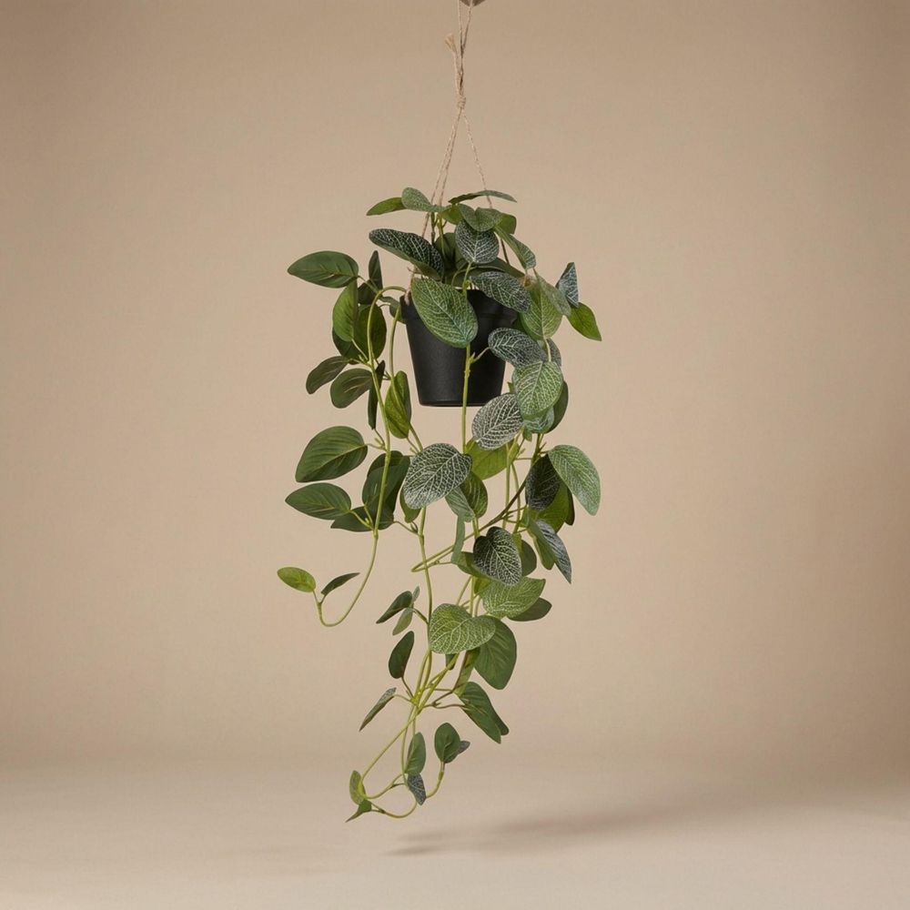 Fittonia - retombant - ø9,5cm - plante artificielle