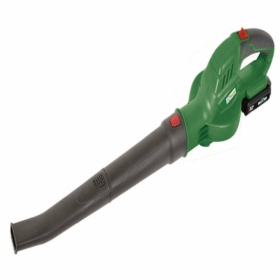 Souffleur R-BAT20 Ã batterie, 1 batterie 20v