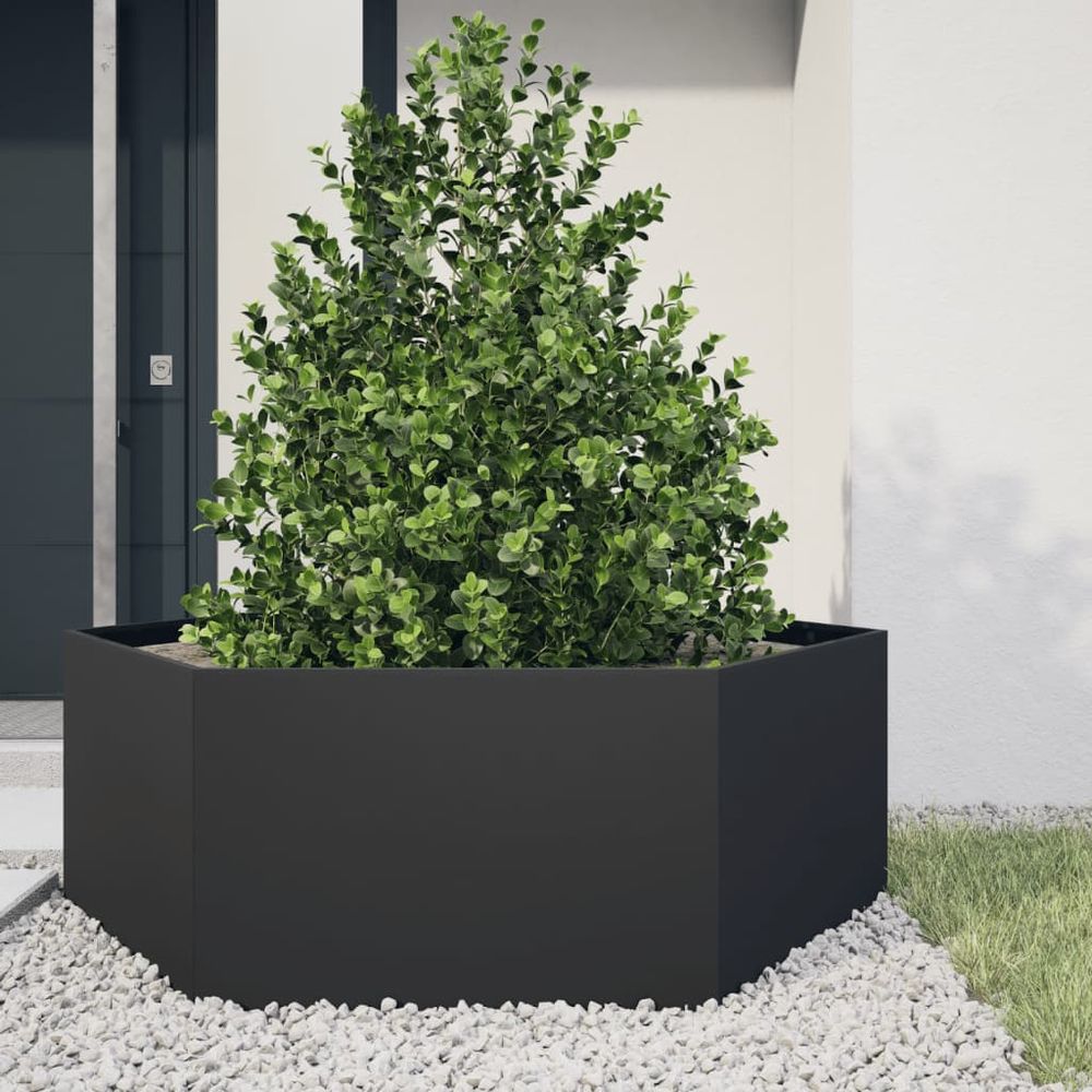 Grande jardinière surélevée hexagonale en acier jardin potager noir 138x120cm