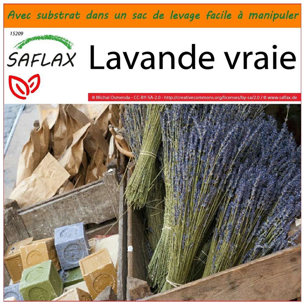 Garden in the bag - lavande vraie - 150 graines - lavandula angustifolia