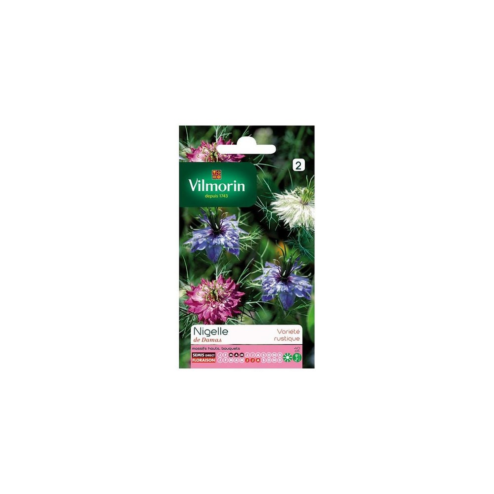 Sachet graines nigelle de damas