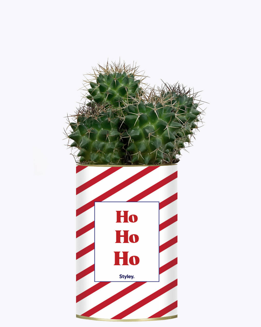 Plante personnalisée - ho ho ho - cactus