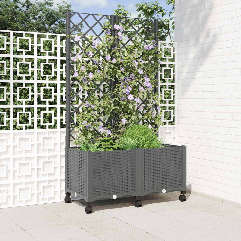 Bac à plantes treillis polypropylène jardin balcon tuteur vignes tomates 80x40cm gris clair