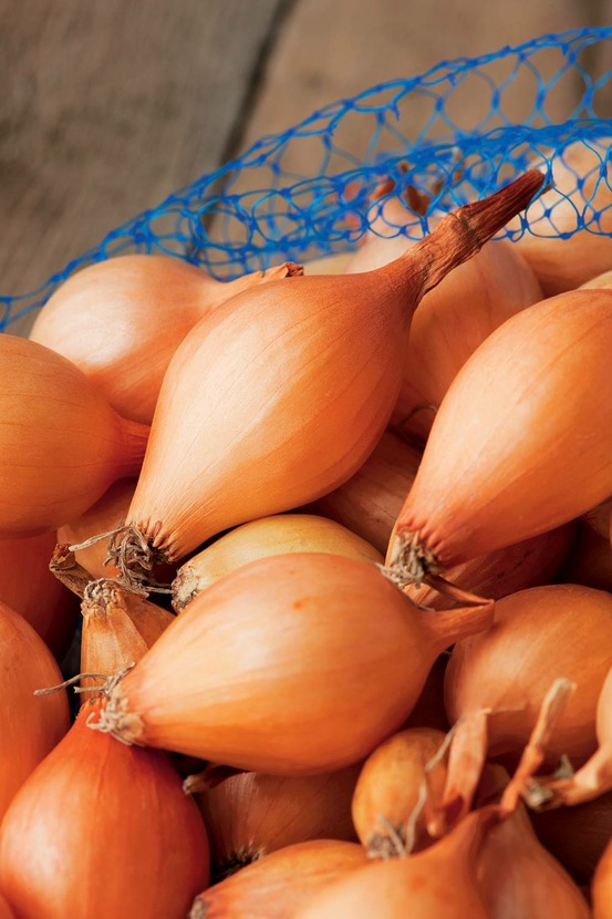 Oignon jaune sturon - 500 g