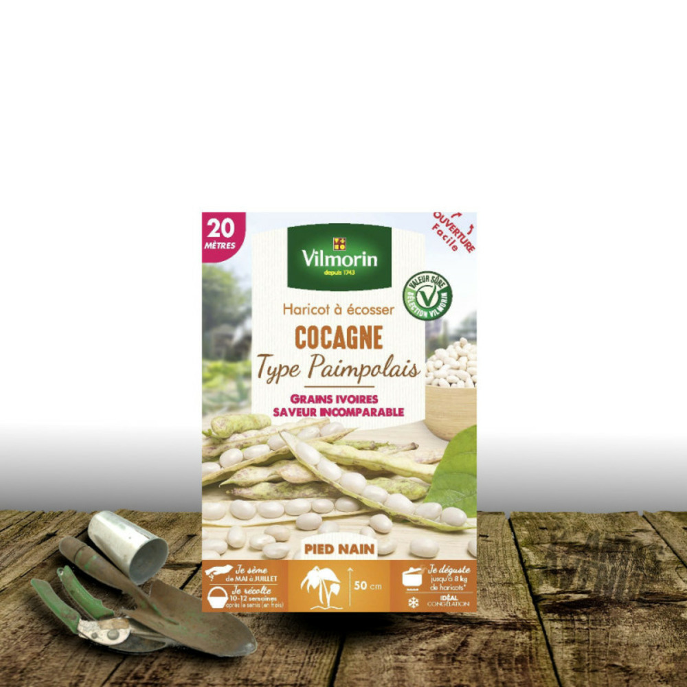 Graines de haricot nain à écosser cocagne - vilmorin boite - 20 mètres