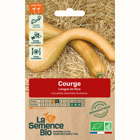 Courge longue de nice - graines bio