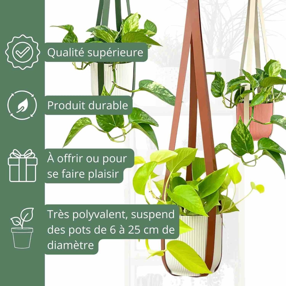 Offre duo - x2 suspensions pour plantes en similicuir + crochets en métal offerts ! - noisette