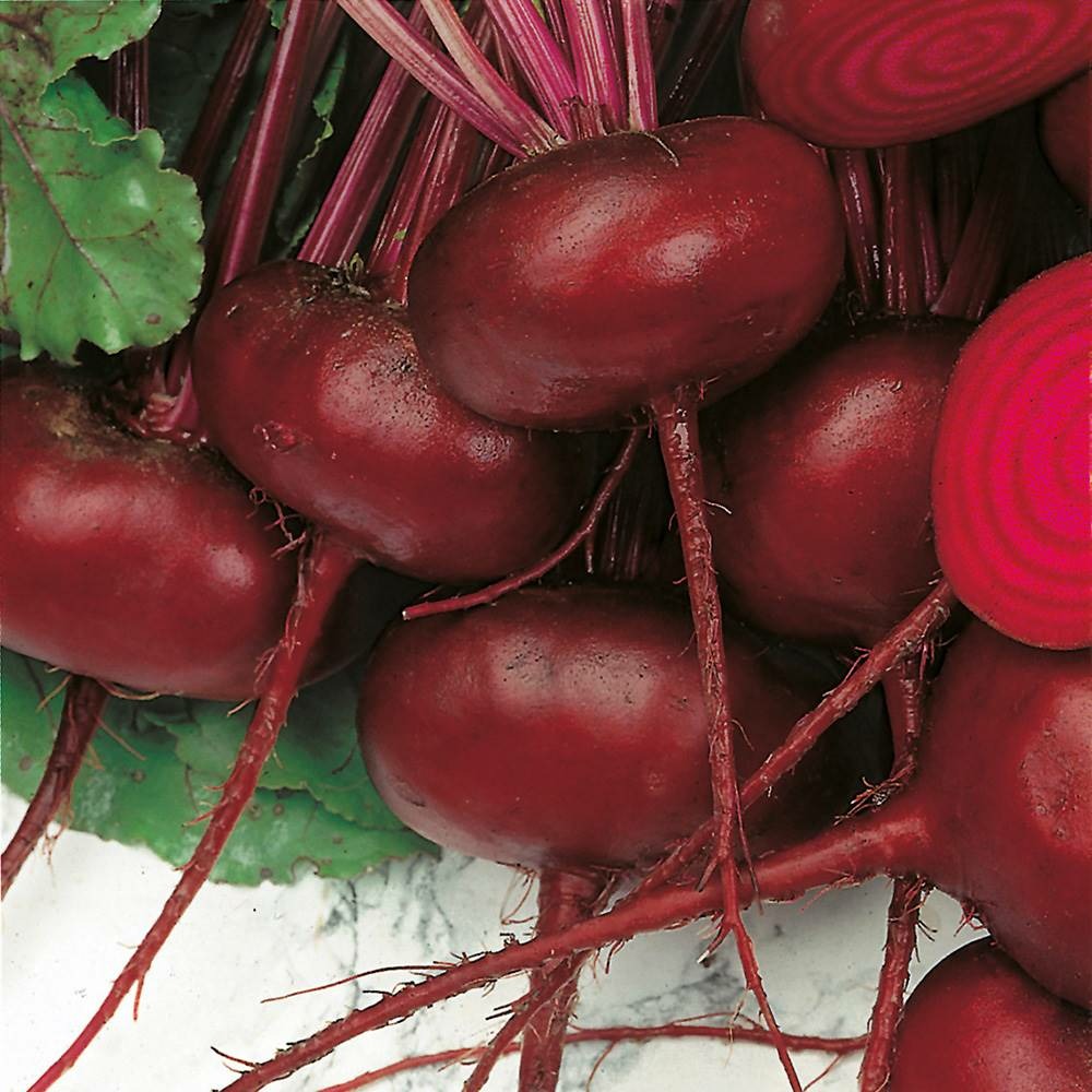 Betterave noire d egypte - 5 g