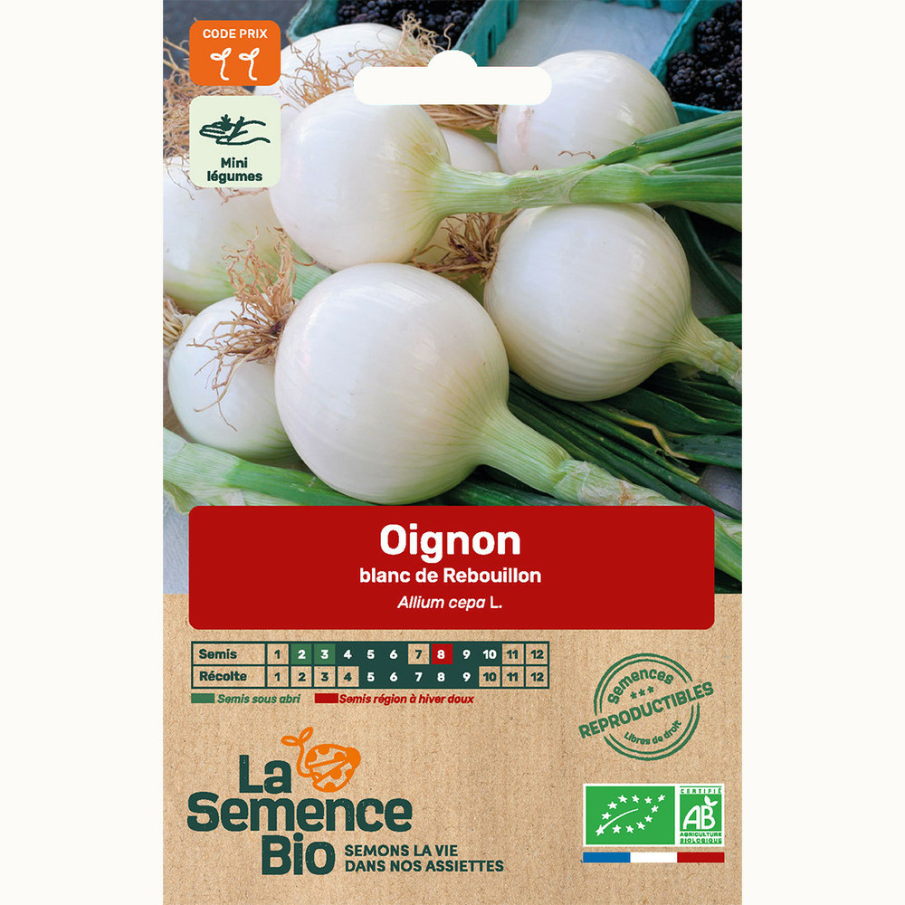 Oignon blanc de rebouillon - graines bio