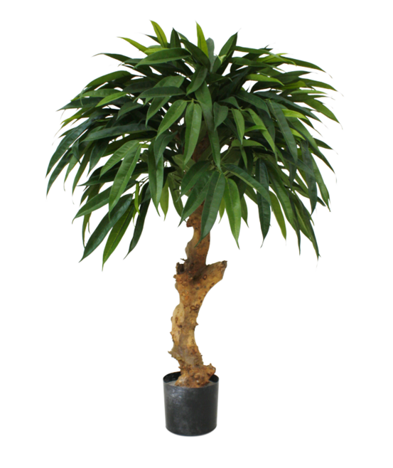 Longifolia royal artificiel 90 cm sur tronc