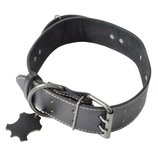 Collier pour chien 2xl