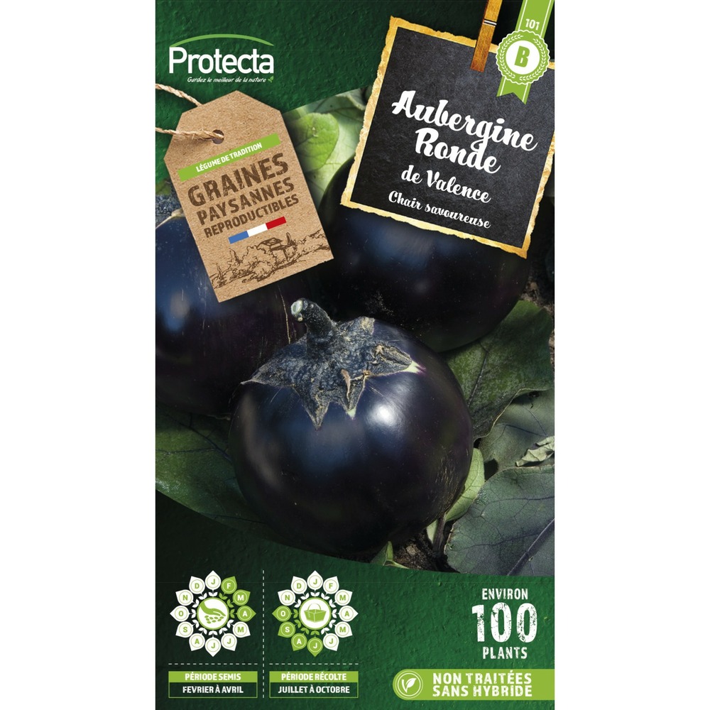Graines paysannes - aubergine ronde de valence