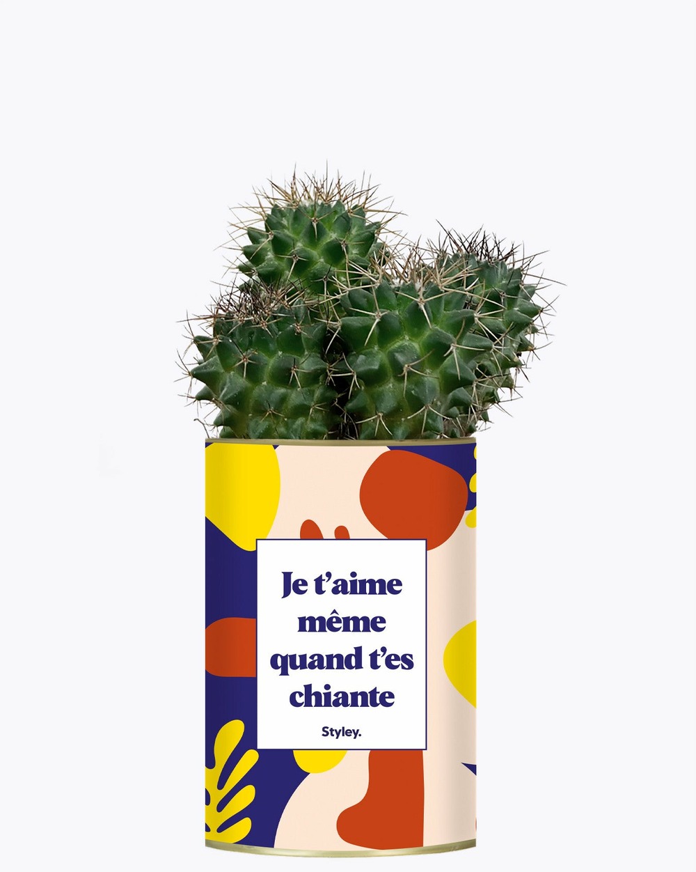 Plante facile à entretenir - je t'aime même quand t'es chiante - cactus