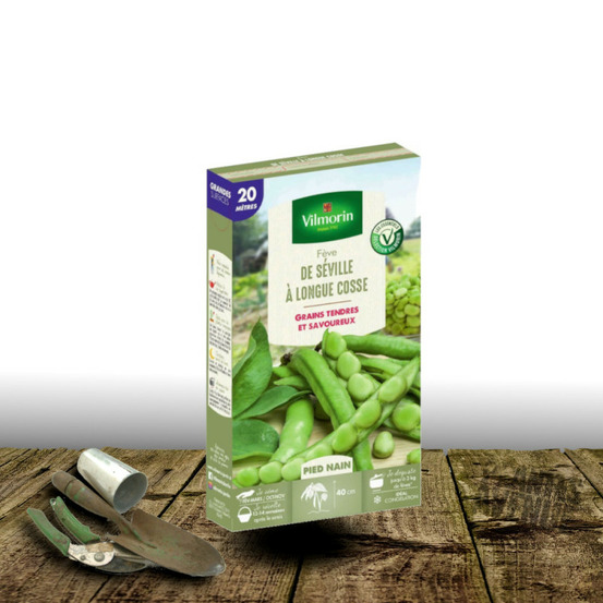Graines de fève à très longue cosse de séville - vilmorin sachet - 20 mètres