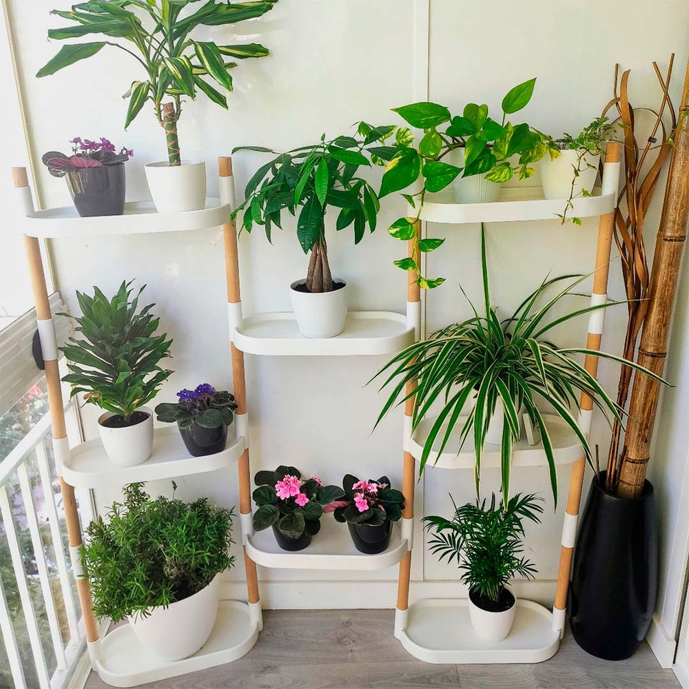 Étagère citysens pour plantes, couleur blanche, avec 8 plateaux