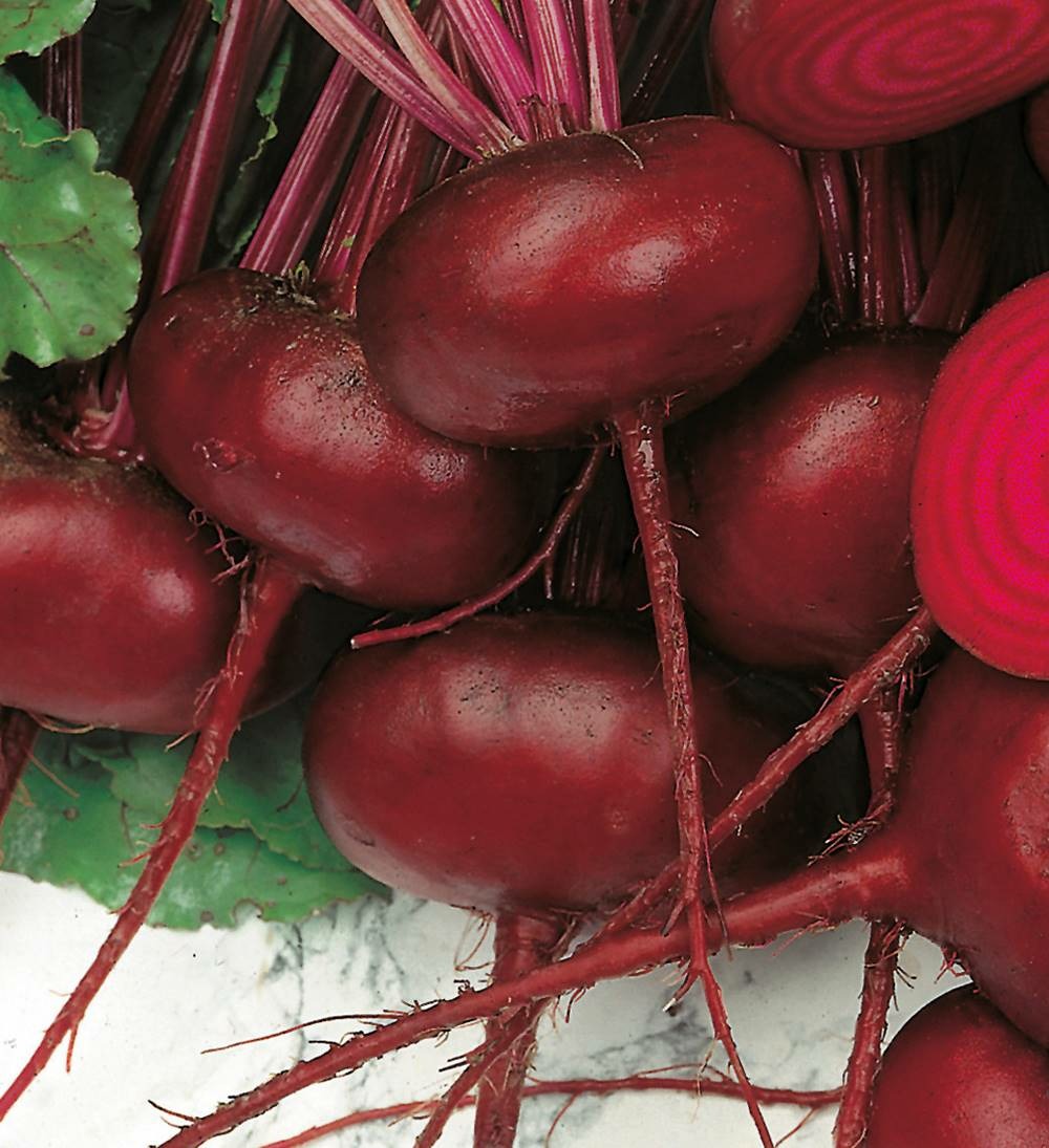 Betterave noire d'egypte bio - 3 g