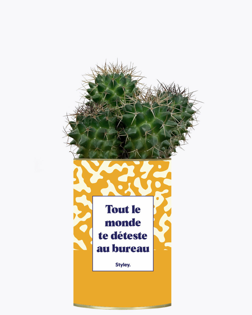 Plante personnalisée - tout le monde te déteste au bureau - cactus
