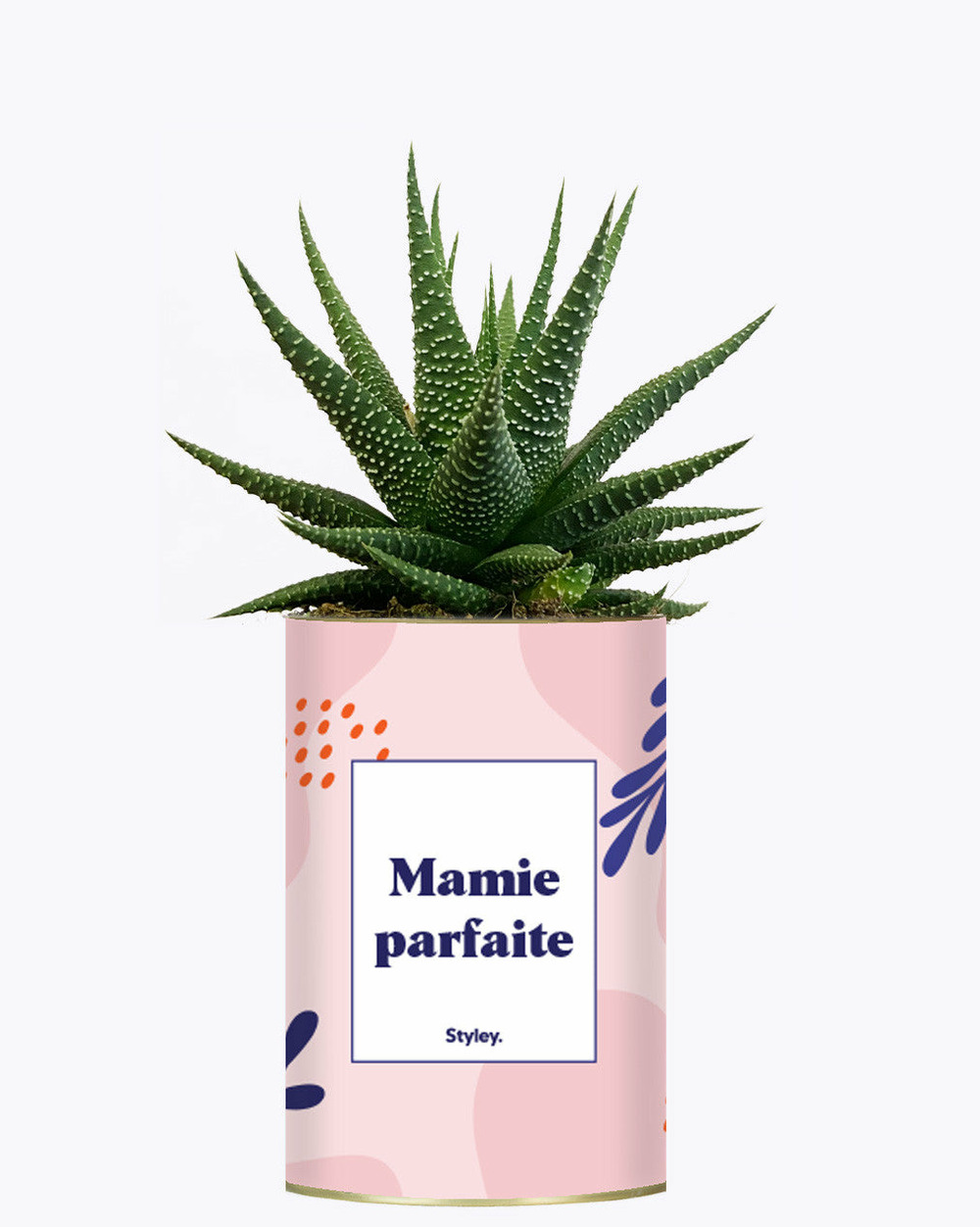 Idée cadeau - mamie parfaite - cactus