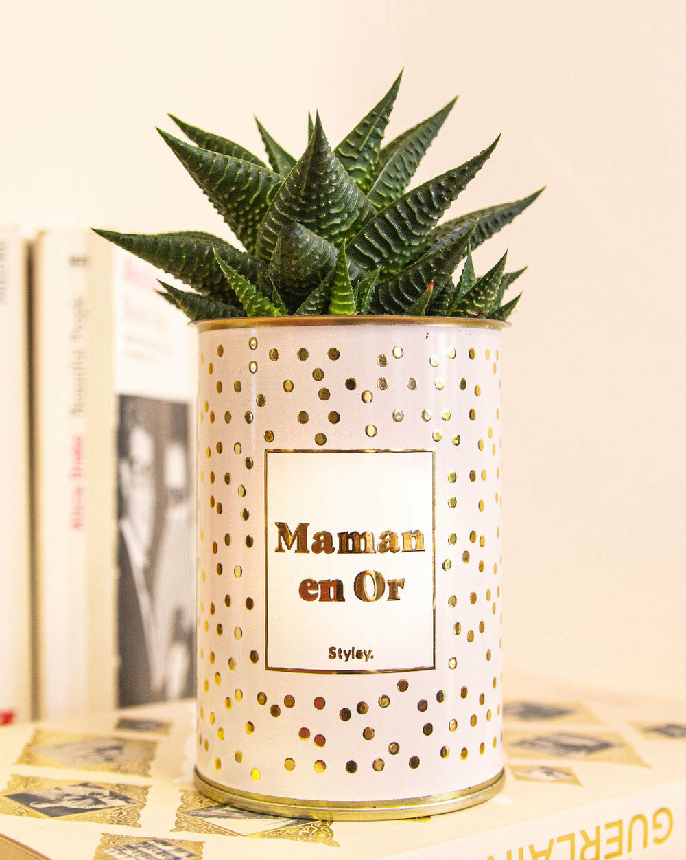 Plante drôle - maman en or - cactus - finition doré