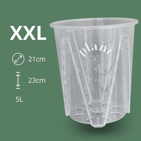Pot aracées transparent - pot de culture transparent pour plantes - pot de 21cm - x1 unité