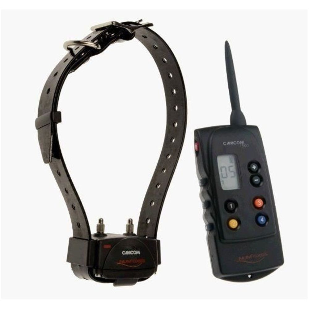 Collier de dressage canicom 1500 - portée 1500 metres -