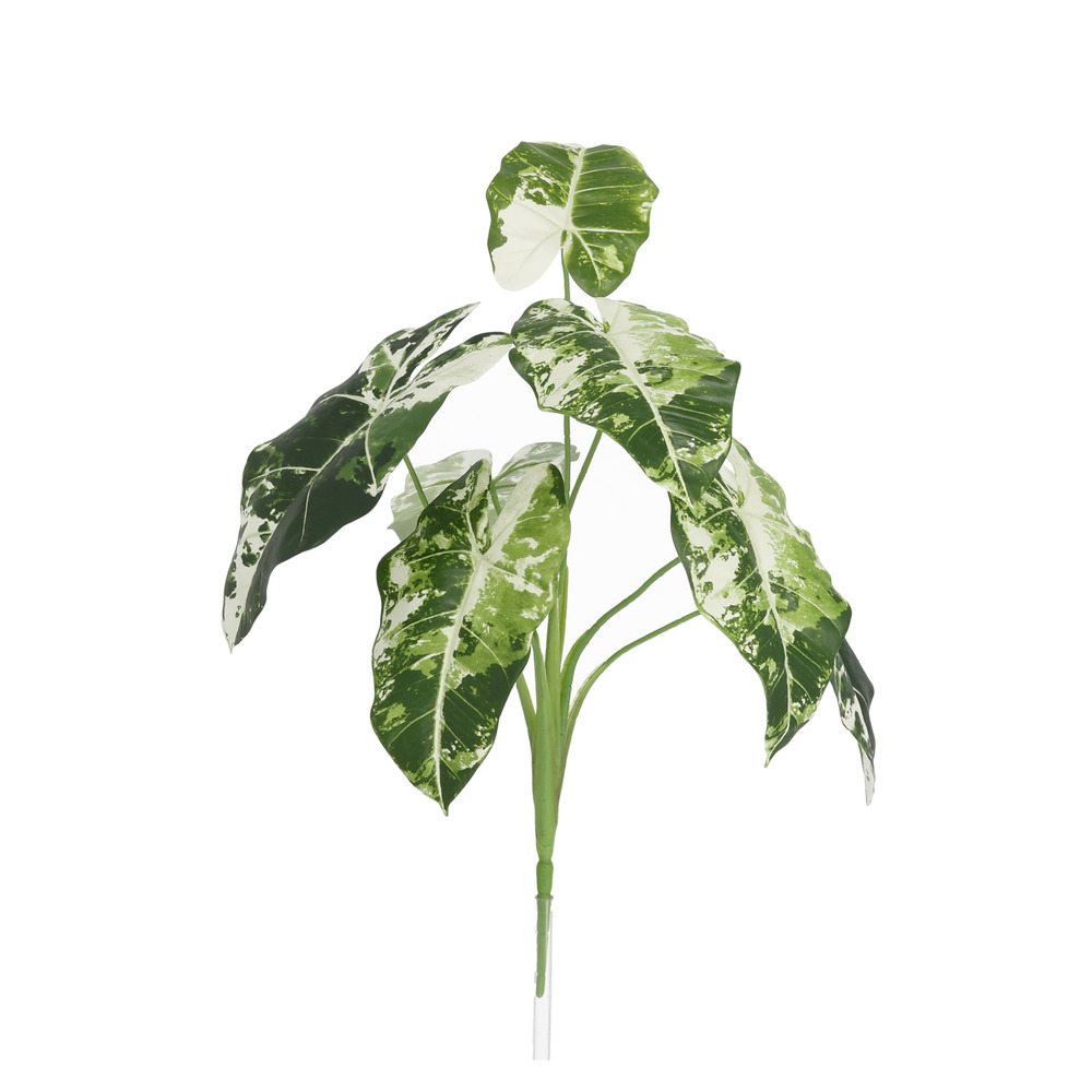 Plante alocasia frydek artificielle variegata 60cm