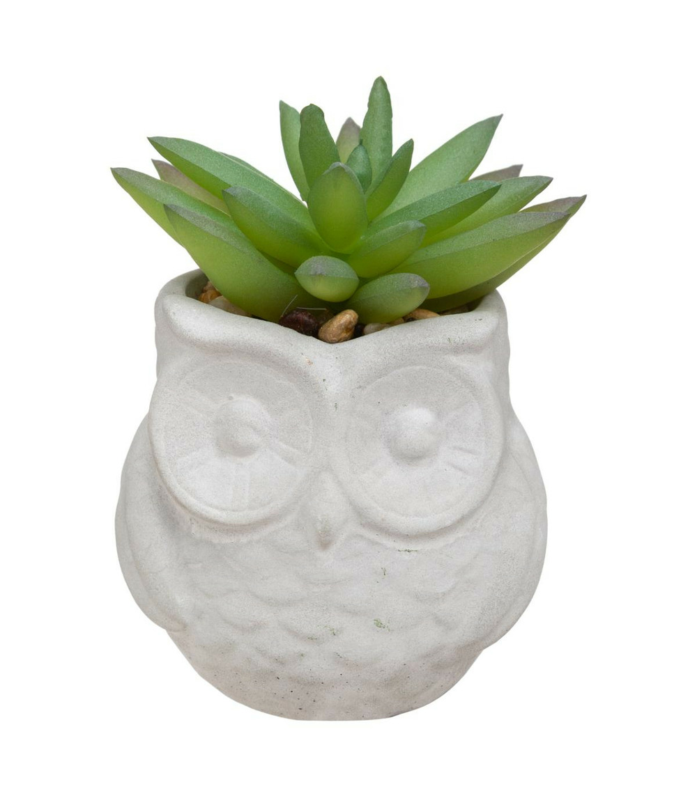Plante artificielle succulente dans pot forme hibou h 8 cm
