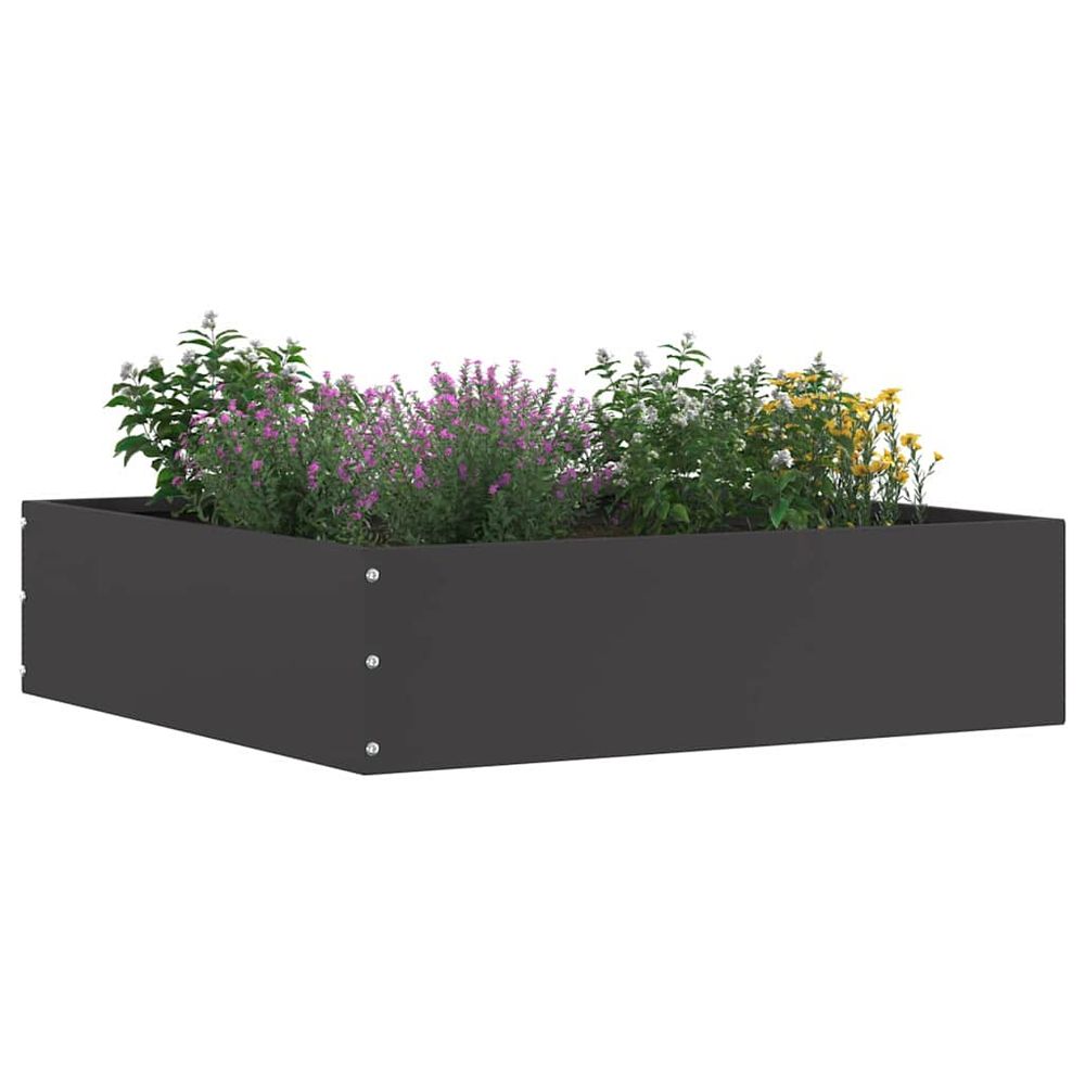 Bordure de pelouse 6 pc 50 x 50 x 13 cm acier noir