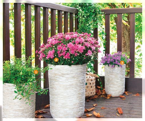 aménagement balcon fleuri