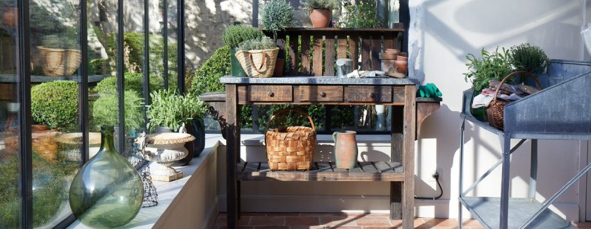 Des plantes dans une serre.