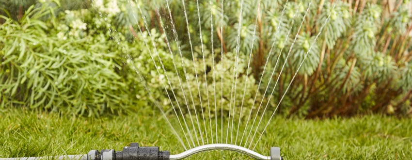 arrosage plantes jardin