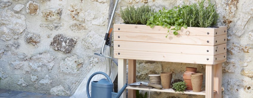 potager sur pied