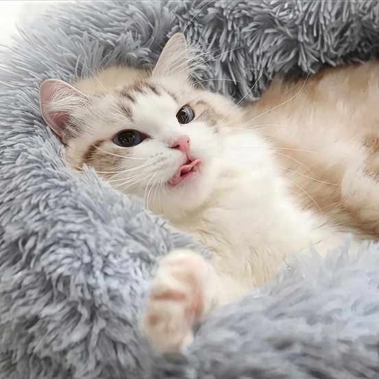 Lit en peluche et feutre rond pour chiens et chats - huit couleurs envoyées au hasard