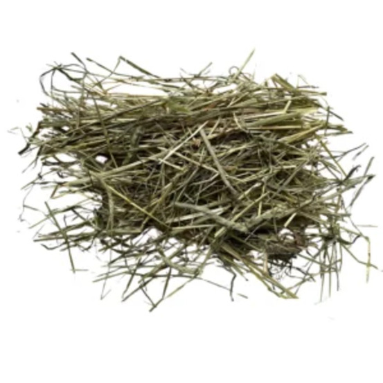 Foin de fléole 1 kg