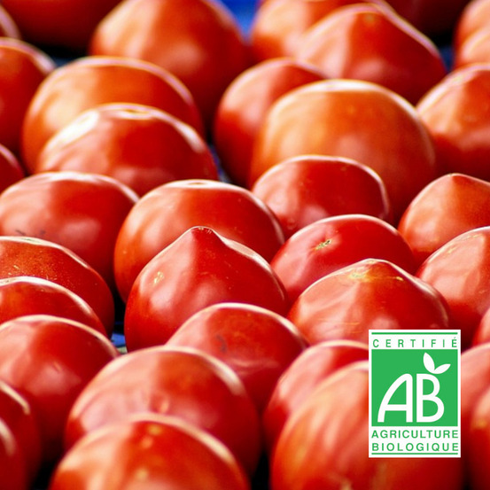 Graines de tomate petit coeur de boeuf - sans traitement sachet