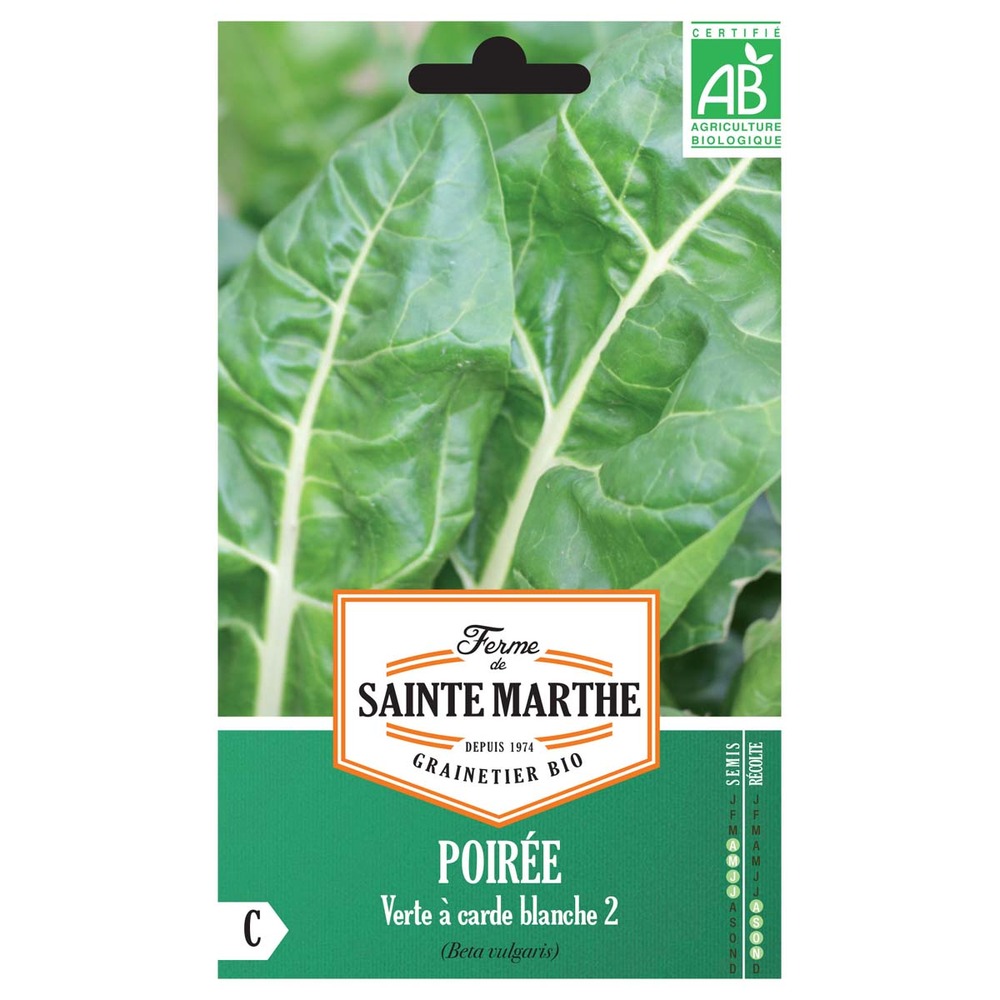 Bette à carde 'verte à carde blanche 2' le sachet de 150 graines environ (2.9g)