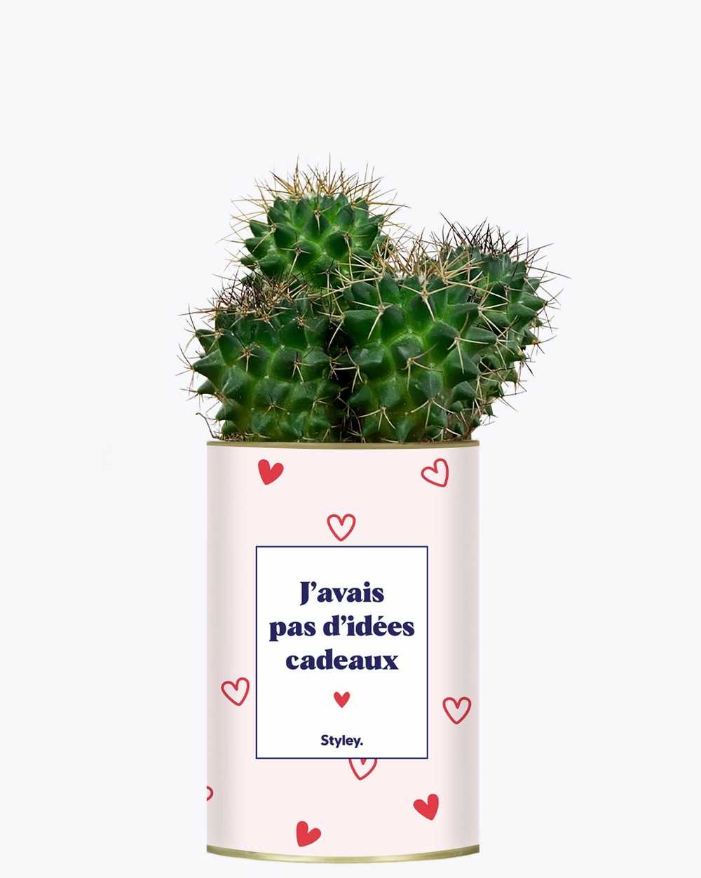 Plante personnalisée - cadeau de saint valentin - cactus