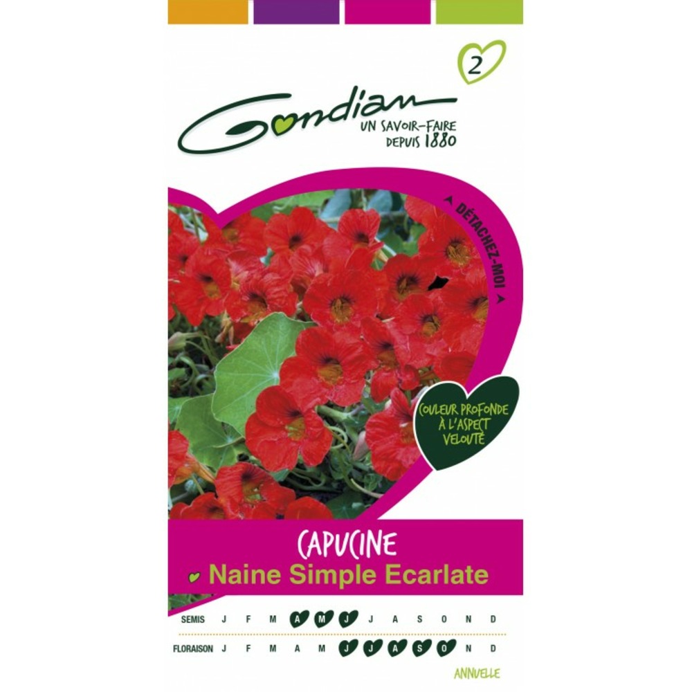 Capucine naine simple escarlate