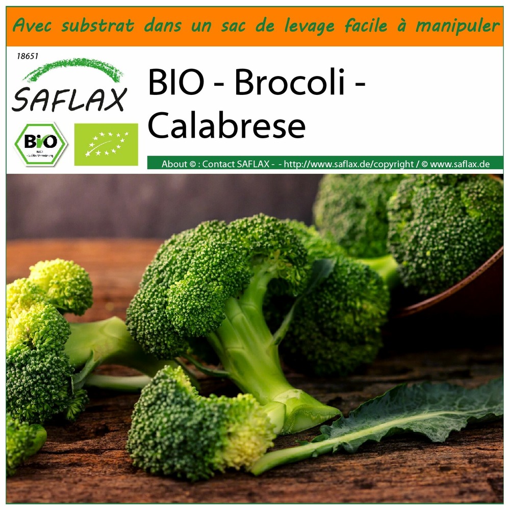 Garden in the bag - bio - brocoli - calabrese - 100 graines - brassica oleracea