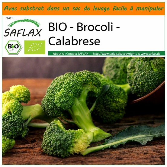 Garden in the bag - bio - brocoli - calabrese - 100 graines - brassica oleracea