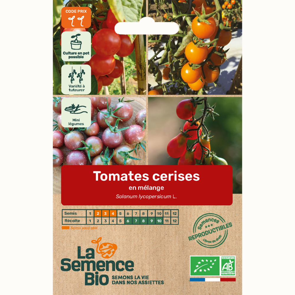 Tomates cerises en mélange - graines bio