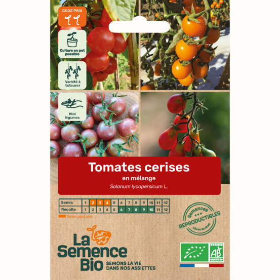 Tomates cerises en mélange - graines bio