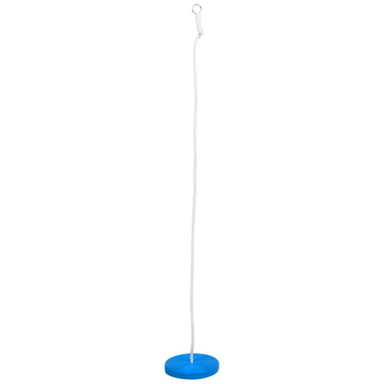 Balançoire à plaque 200 cm bleu