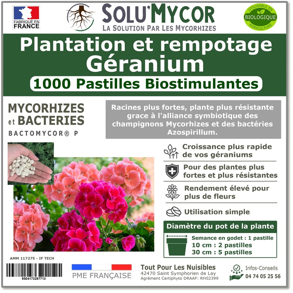 Solumycor 1000 pastilles biostimulantes géraniums semis et plantation favorise le développement racinaire